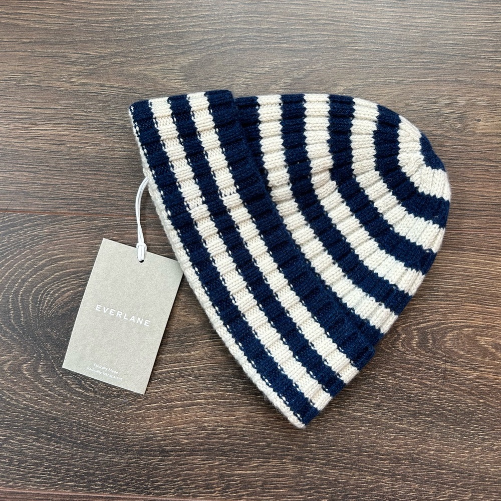 NWT Everlane Cashmere Beanie